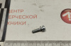 винт