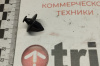 клипса